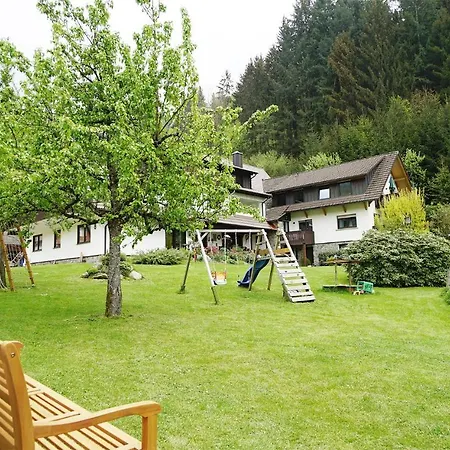 Daire Hoellkopf - Stubenhof, Black Forest