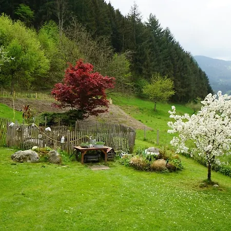 Appartamento Hoellkopf - Stubenhof, Black Forest *