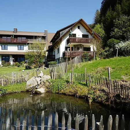 Hoellkopf - Stubenhof, Black Forest Appartamento