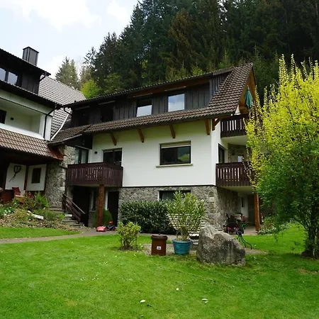 Hoellkopf - Stubenhof, Black Forest *